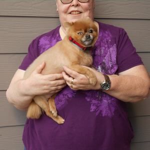 Meet your Posher, Peggy